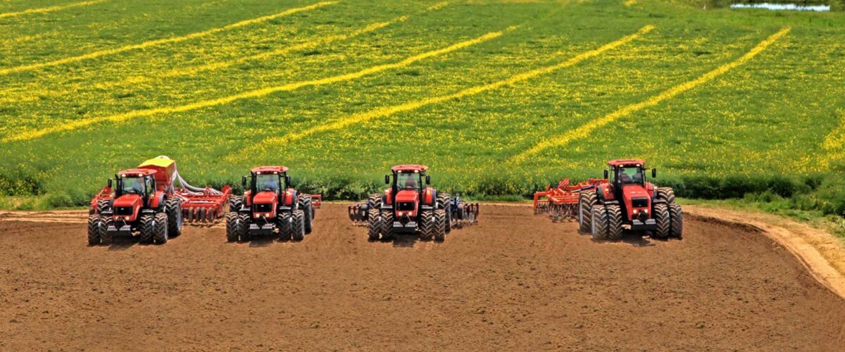 Организация торгов сельхозпродукции Организация торгов сельхозпродукции